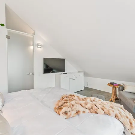 Tropic - Seezugang - Seesicht I Beachparadise I Massage - Trampolin - Light Show - Parken - Cinema Feeling - Bbq Vakantiehuis Gaienhofen (Baden-Wurttemberg)